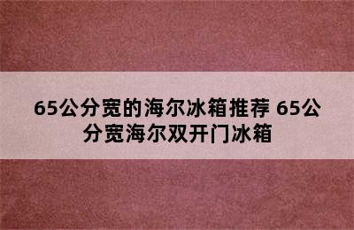 65公分宽的海尔冰箱推荐 65公分宽海尔双开门冰箱